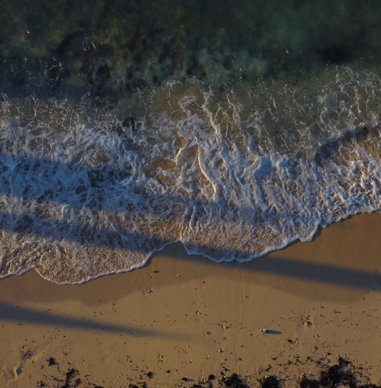 The Sanctuary Difference The Sanctuary Difference